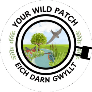 Your Wild Patch circular logo