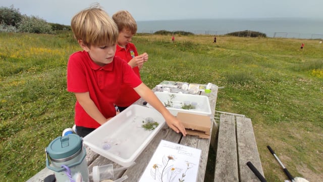 Grassland ID project 2025