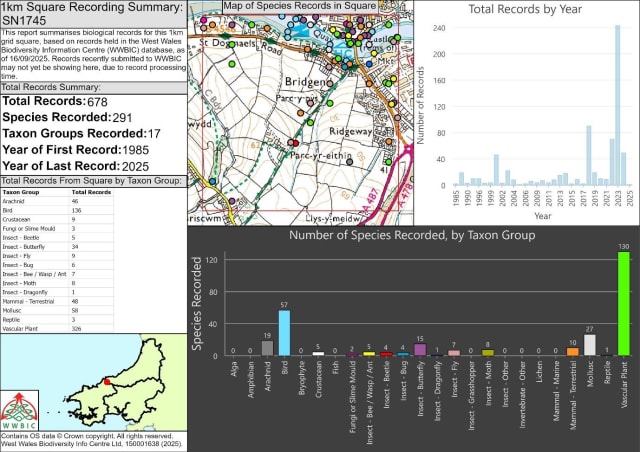 Infographic dashboard for wildlife observations, showing maps, tables and bar charts