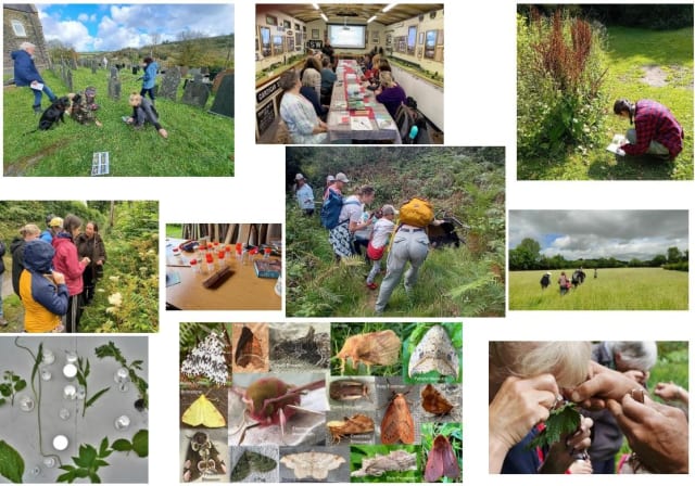 Montage of photos of people IDing species in different situations