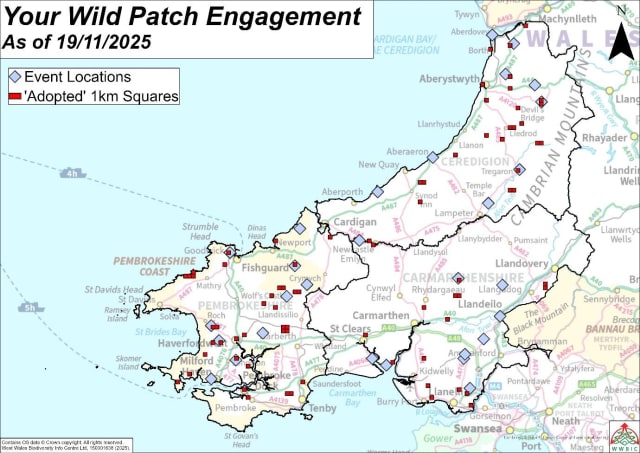 Map of Your Wild Patch engagement across Ceredigion, Pembrokeshire and Carmarthenshire