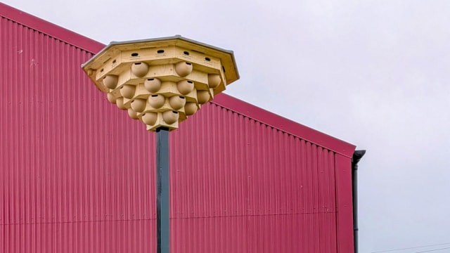View of top part of swift tower - a pole going up to an octogonal stepped down structure with circular nest boxes on each face