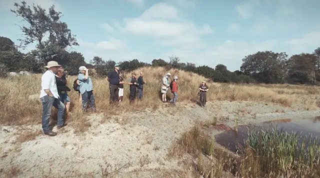 Naturalists in the hot weather on the banks of a depleted pond
