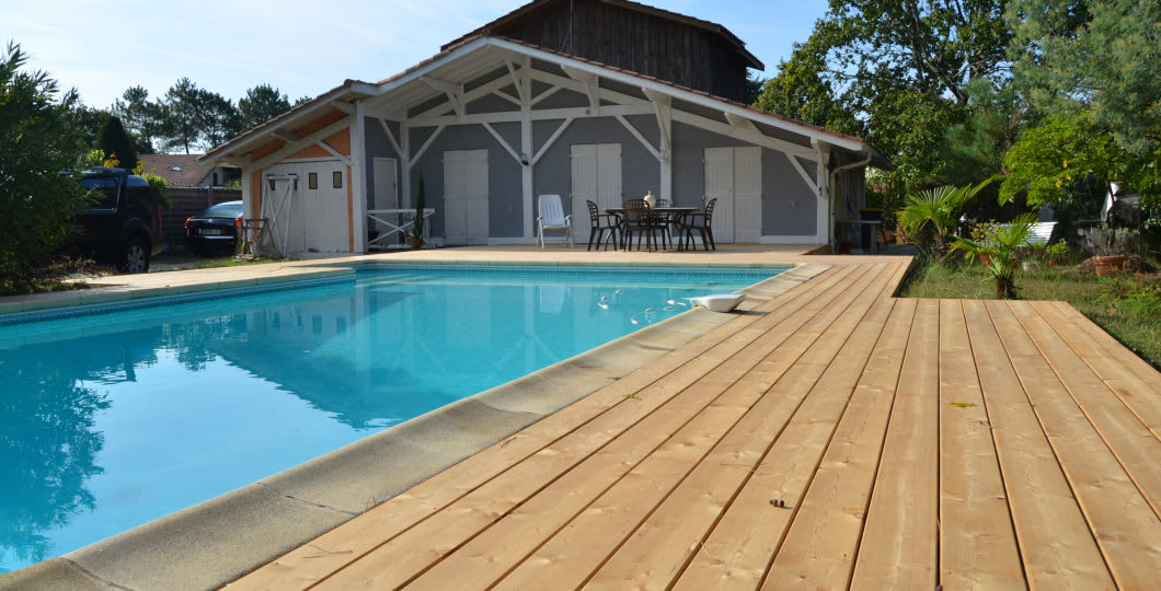 Le Mélèze de Sibérie, essence idéale pour un tour de piscine en bois avec un budget maîtrisé