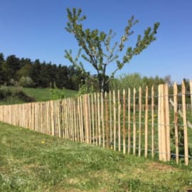 Ganivelle 5m x 1,20m - écart 4/5