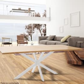 Pied de table central grand mod&egrave;le - 2 coloris - MOTTEZ