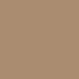 Bande de chant ABS U250 ST9 Beige Caramel - Ep.0,8 mm / l.23 mm / L.75 m - Non encoll&eacute;e coloris