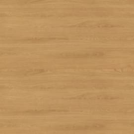 Bande de chant ABS H3395 ST12 Ch&ecirc;ne Corbridge Naturel - Ep.0,8 mm / l.23 mm / L.75 m - Non encoll&eacute;e coloris