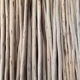 Perche en Eucalyptus - &Oslash; 1.5/3.5cm  - Longueur 3m nombreux