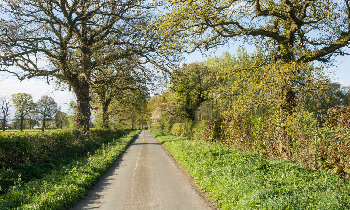 Haies agricoles en bord de route Haies champêtres périphériques