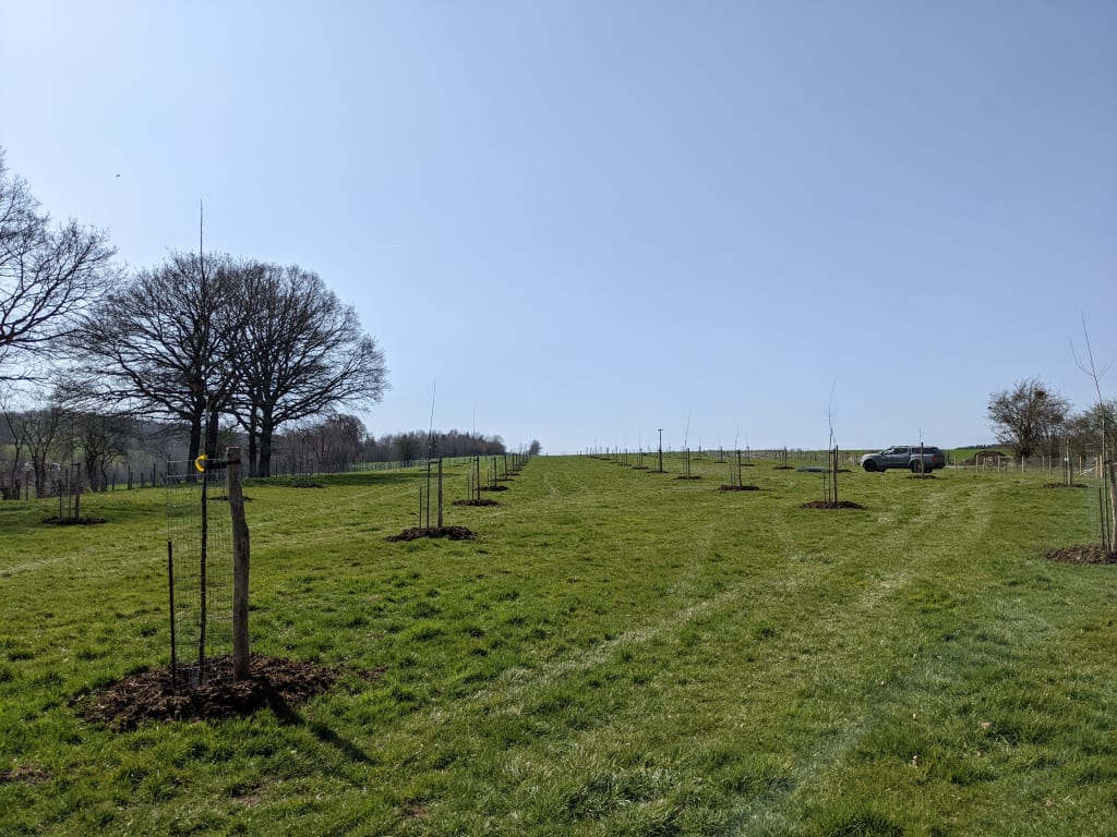 Verger moyenne ardenne belge Arbre fruitier ardenne
