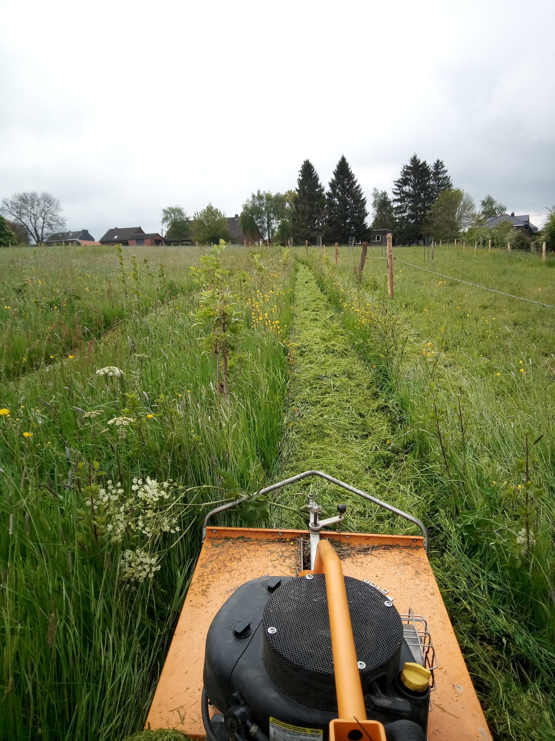 Dégagement haie champetre entretien haie agricole
