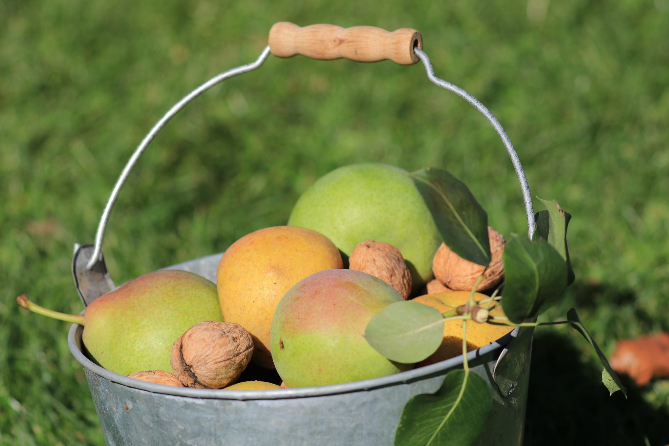 Fruits sans pesticides