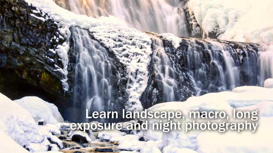 vancouver photowalks