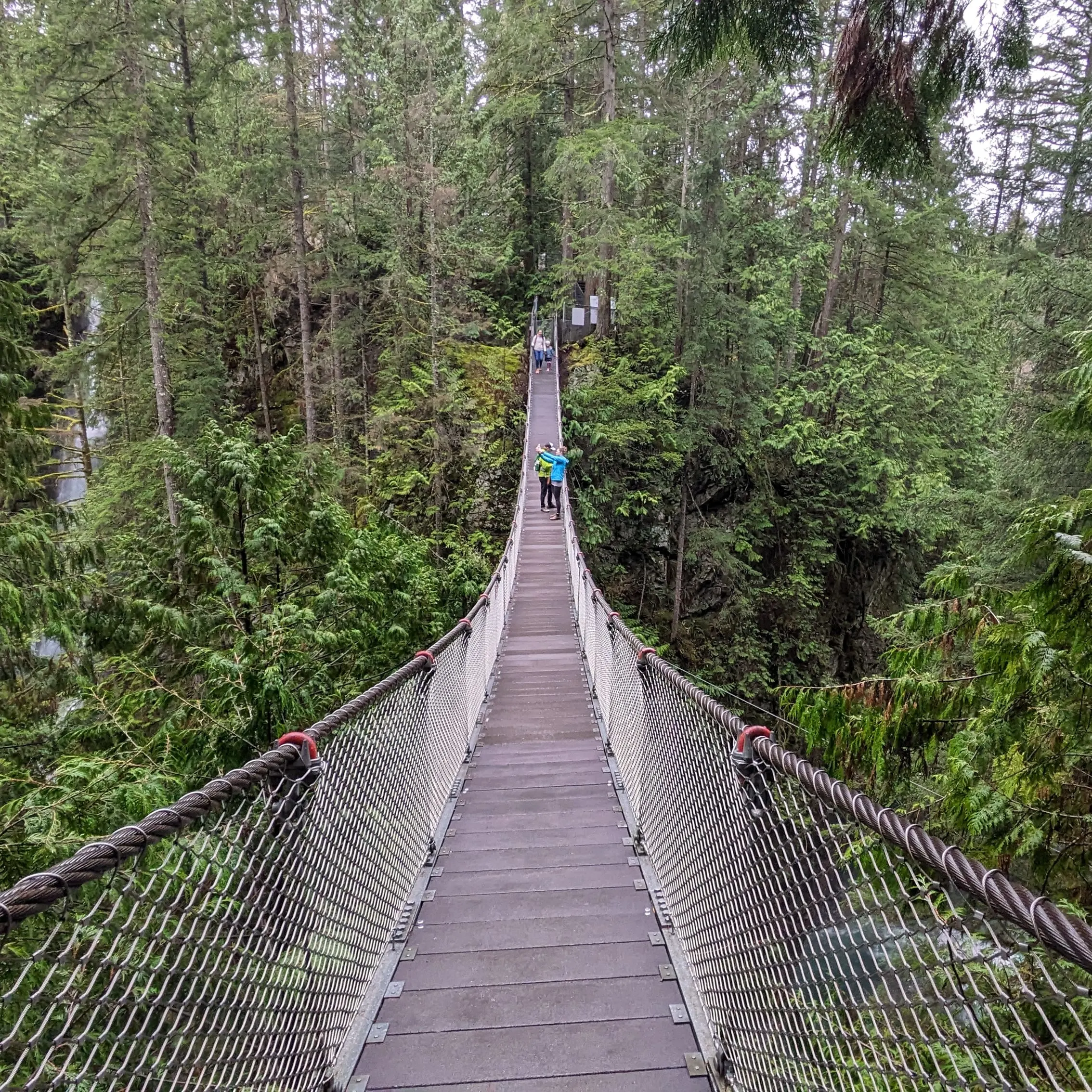 Lynn Canyon Suspension Bridge & Park Photography