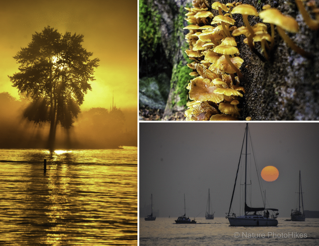 Fall photography, nature photography