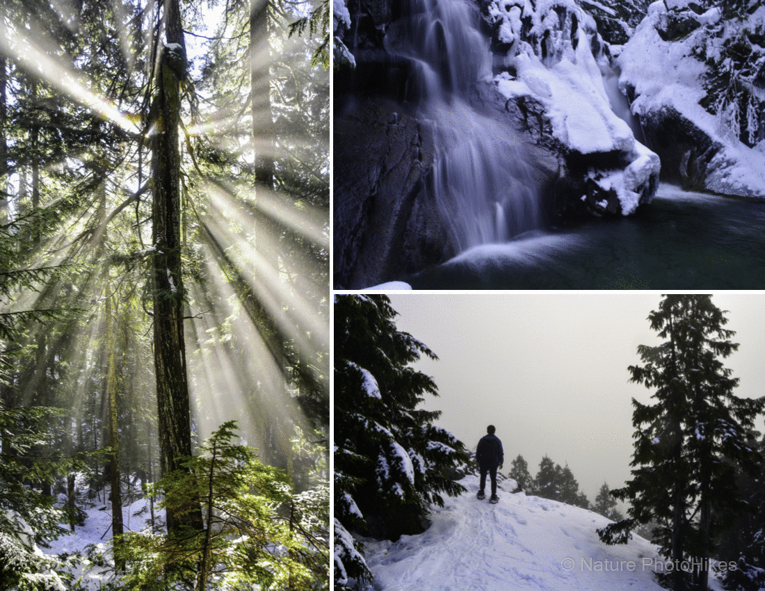 Winter nature photos