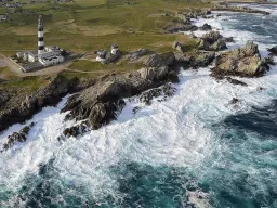 Le alghe: una forza naturale