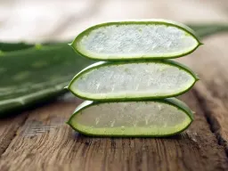 Aloe ferox, arborescens, vera o barbadensis? Tutto sull'aloe