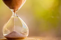 Come rallentare l'invecchiamento precoce con le piante