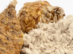 Maca Peruviana: potente afrodisiaco e fonte di vitalità