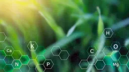 Problemi di pelle? E se fosse una questione di oligoelementi?
