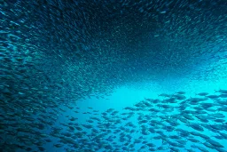 Omega-3 Epax®: la differenza è nella qualità