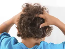 Guerra ai pidocchi con gli oli essenziali