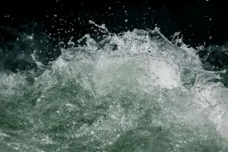 Quali sono i benefici del plasma marino di Quinton?