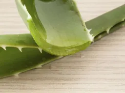 aloe vera bei nagelpilz Antifungale Flssigkeit Aloe Vera Nagel & Fupilz Set  Antipilz-Behandlung  Mit Aloe Vera, Fr Alle Hauttypen, Haltbarkeit Bis 12/2028 Nagelpilz Creme  Testsieger