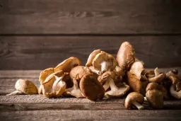 Shitake: benefici, usi e controindicazioni