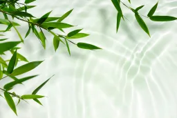 Silicio organico: proprietà e benefici dell'assunzione orale