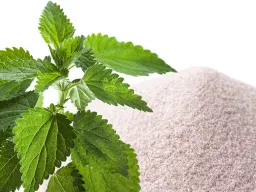 Silicio Organico o Silicio Colloidale? Quale scegliere e perché