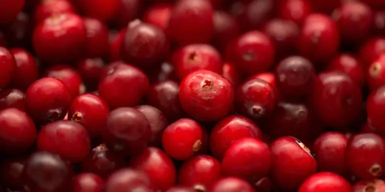 Cranberry: il mirtillo rosso