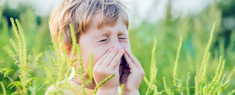 Allergie stagionali