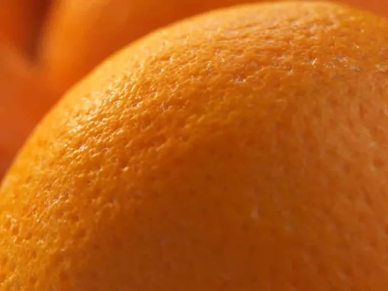 E la tua cellulite avrà ciò che si merita