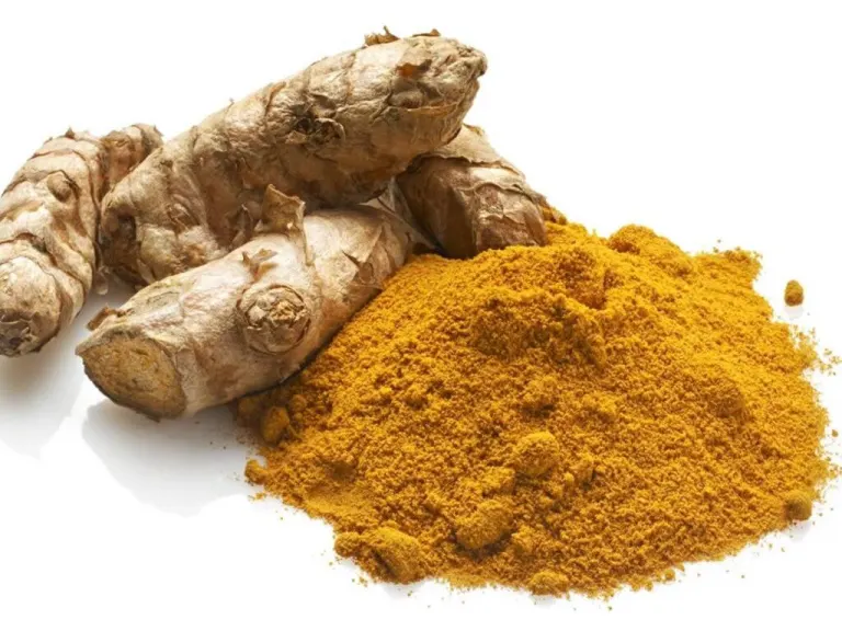 curcuma