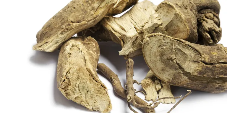 Eleuterococco: il ginseng indiano