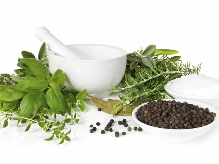 Fitoterapia