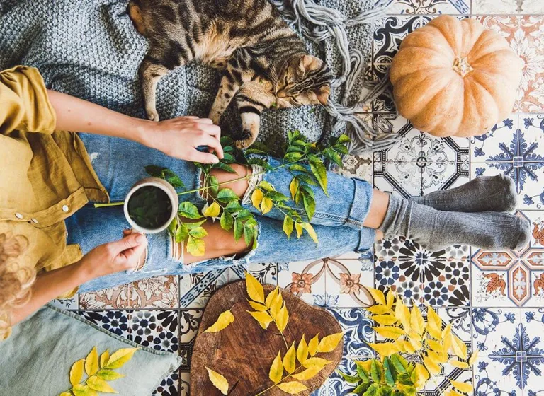 Fitoterapia: il kit autunnale