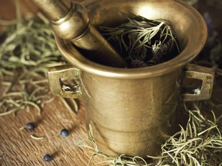 Formulario di fitoterapia