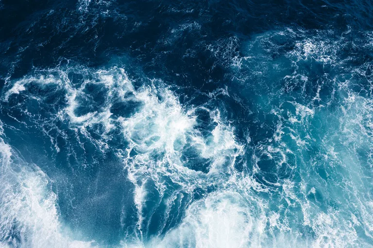 Plasma di Quinton: l'autentico