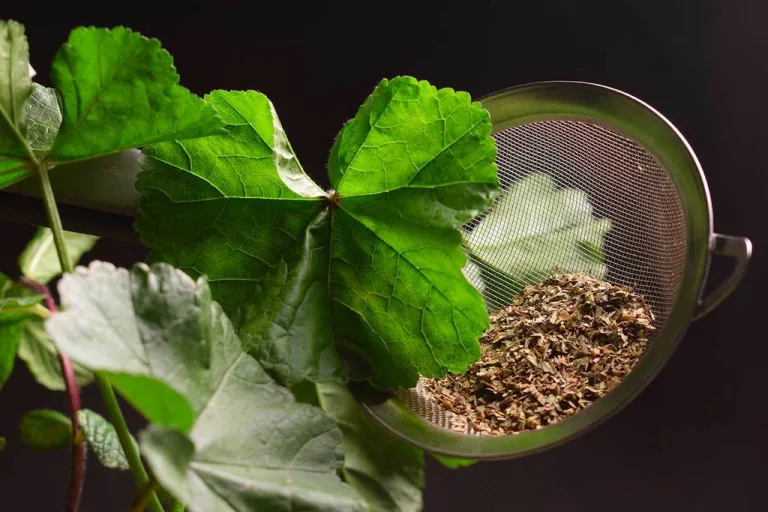 Infusioni e coronavirus