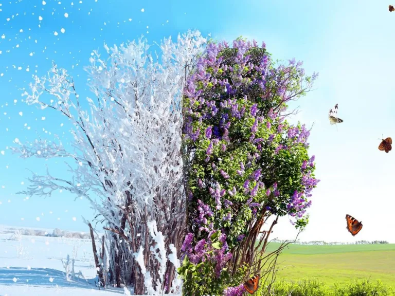 inverno e poi primavera