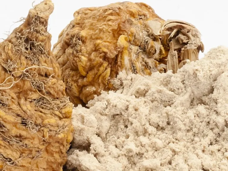 Maca Peruviana