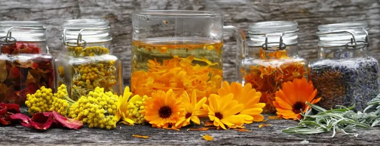 Naturopatia