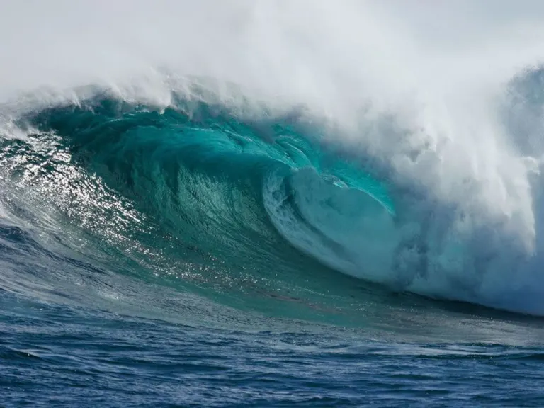 Plasma Marino Quinton Biocean