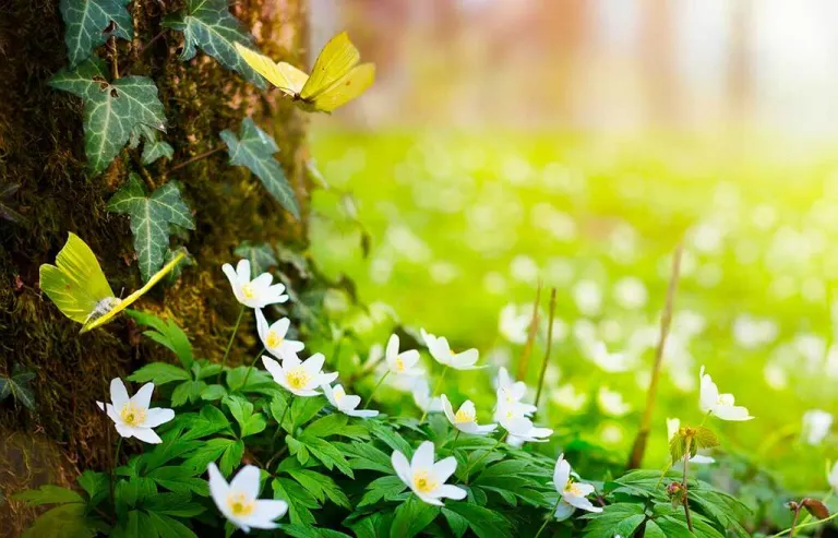 Primavera recupera energia