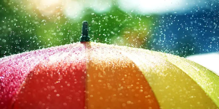 Rafforzare il sistema immunitario con la Fitoterapia