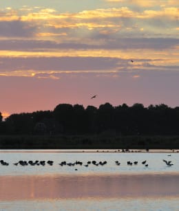 Polder Groot-Mijdrecht